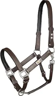 Equilibrium Stellar Head Collar