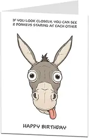 Funny Rude Birthday Card. Humour 2 Donkeys Offensive For Him Men Brother Dad Males
