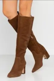 Sam Edelman Hai Nut Brown Suede Pointe-Toe Knee Boots, 10M