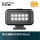 GoPro ALTSC-001 燈光模組 HERO8/HERO9 Black 適用 公司貨 補光燈【鴻昌】