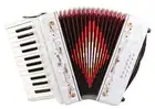 Rossetti 25 Keys 12 Bass Buttons 2512 Piano Accordion - White + Case, Strap