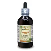 Labrador Tea (Ledum Groenlandicum) Tincture Dried Leaf Liquid Extract