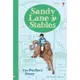 Sandy Lane Stables The Perfect Pony(精裝)/Susannah Leigh Young Reading Series 3 Plus 【禮筑外文書店】