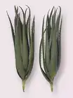 SUPER LIFELIKE! ~ 2pk ~ 18" SUCCULENTS Artificial Plant Unpotted Faux Picks