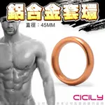 CICILY 圓滑款 鋁合金猛男訓練環 金 4.5CM【YL-00084 公雞環 情趣用品 潤滑液 SM 按摩器 持久環 鎖精環】【情趣職人】