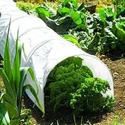 Superior Strength Polythene Film for Increased Light Transmission, Enhanced Photosynthesis (2.5 meters wide)