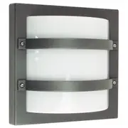 Larry Graphite Outdoor Bunker Wall Light