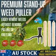 Garden Lawn Weed Root Remover Weeding Head Digging Tool VP