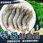 活凍特級3號大白蝦-淨重1KG/盒-【歐嘉嚴選】約40-50尾 餐廳供應 批發 團購 露營 烤肉