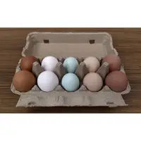 在飛比找蝦皮購物優惠-全新現貨 雞蛋 包裝盒 紙蛋盒 紙蛋盤 雞蛋盒 10粒裝 1