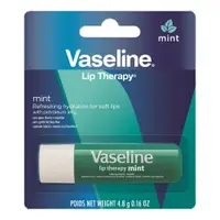 在飛比找PChome24h購物優惠-Vaseline護唇膏【薄荷】4.8g