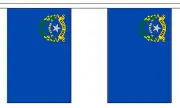 NEVADA U.S. STATE BUNTING 9 metres 30 flags Polyester flag