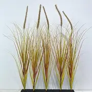 6 Pcs Artificial Reed Flowers Fake Grass 23 Inch Tall Onion Grass Artificial Pampas Grass Greenery Floor Plants for Room Office Garden Indoor (Gold)
