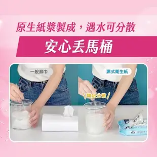 【Kleenex 舒潔】女性專用濕式衛生紙 40抽x12包X2箱