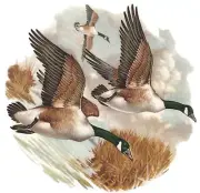 Canadian Geese in Flight 1 pc 6" Overglaze Waterslide Ceramic Decal