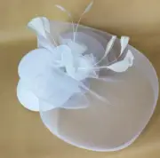 Mesh Netted Bridal Fascinator Fancy Wedding Veil Accessory Flower & Feather Hat