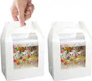 Cake Pop Boxes, Cake Pop Packaging Boxes with 18 Holes - Cake Pop Packaging, Candy Boxes for Lollipops Candy Pop, Cake Pop Supplies