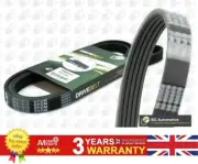 V Ribbed Belt For CITROEN XM Fiat PALIO SIENA STRADA 1987946061