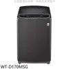 LG樂金 17公斤變頻洗衣機 WT-D170MSG 大型配送