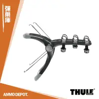 在飛比找Yahoo!奇摩拍賣優惠-【AMMO DEPOT.】Thule 都樂 RaceWay 