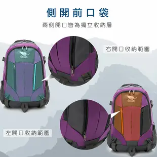 Cougar 背包客旅遊包 超輕量休閒旅遊包 戶外健行包 運動後背包 透氣減壓筆電背包 防潑水 附防水雨罩