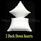 FEATHER DOWN SCATTER CUSHION INSERTS X 2- 50 X 50CM - 30% DUCK DOWN ONLINE SALE