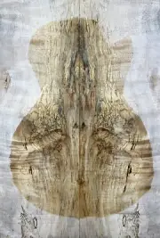 Figure Electric Bass Top Barky Spalted Maple Bookmatched Wood Set Luthier Supply