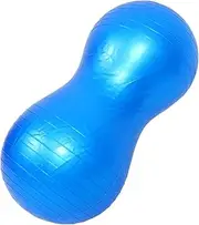 ibasenice Balance Fitness Ball for Exercise and Stability Training with Pump for Yoga Rehabilitation Sensory Development and Full Body Workouts