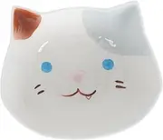 HAWILLOSCH Shaped Ceramic Salad Bowl Children's Breakfast Tray Whisker Friendly Bowl