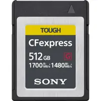 在飛比找PChome24h購物優惠-SONY 索尼 CEB-G512 CFexpress Typ