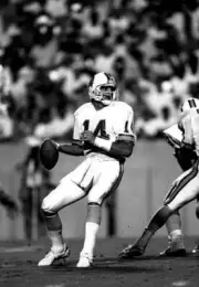 Vinny Testaverde Tampa Bay Buccaneers throws a pass 1990s Old Photo 1