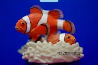 在飛比找露天拍賣優惠-【小七模型】海洋堂新江水族館誘惑1代單賣——公子小丑魚