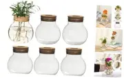 Plant Propagation Station,Hydroponic Terrarium Vase,Desktop Glass Planter