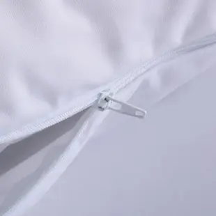 【EverSoft 寶貝墊】pure 奈米抗菌離子枕頭保潔墊－2入／53x78cm