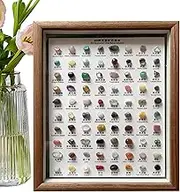 Stone Collection | 80X Portable Raw Gemstones for Collection - Home Decoration, Classic Stone Ornaments, Rough Crystal Set in Wooden Frame for Educational Display