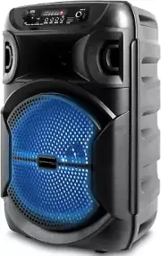 8 Inch Portable 800 Watts Bluetooth Speaker with Woofer & Tweeter, Festival PA L