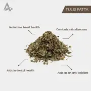 TULSI PATTA – BASIL LEAF – BASIL LEAVES – OCIMUM SANCTUM – OCIMUM TENUIFLORUM