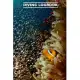 Diving Logbook: Scuba Diving Logbook - 101 pages, 6x9 inches - Gift for divers