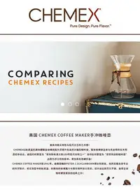 在飛比找Yahoo!奇摩拍賣優惠-現貨 :chemex手沖咖啡壺 家用木柄真皮分享咖啡濾壺