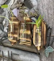 Wooden Propagation Stations Glass Magnetic Burnt (3)