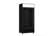 Thermaster Double Glass Door Colourbond Upright Drink Fridge LG-580BP