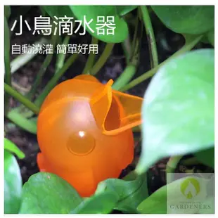 【Gardender】小鳥自動滴水器1入(盆栽滲水器/澆水器/自動澆灌)