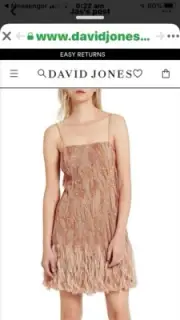 Aje Cassidy Dress Stunning Size 8 BNWT Rrp $995.00
