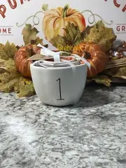 Rae Dunn Peanuts Snoopy Fall Thanksgiving Harvest Leaves Measuring Cups/NWT