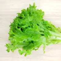 在飛比找蝦皮購物優惠-探戈萵苣種子~Tango Lettuce~捲曲葉片，深受喜愛