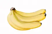 Buy Banana Plants DPM 25 - Cavendish with resistance to Panama Disease