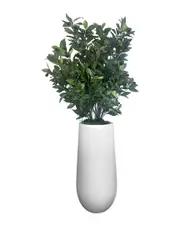 Creative Displays Green Olive Tree in Fiberstone Planter
