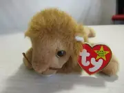 TY BEANIE BABY ROARY #4069 2-29-96 ERRORS