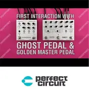 Endorphin.es Golden Master Compressor Pedal EFFECTS NEW PERFECT CIRCUIT
