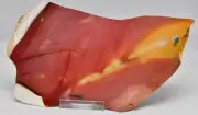 MOOKAITE JASPER Slice, FOSSIL RADIOLARIAN Western Australia S706